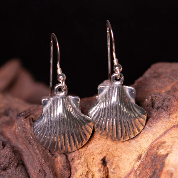 tin shell earrings